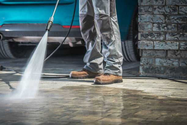 Best Winterizing Services  in Woodbury, MN
